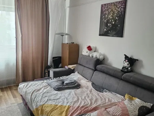 Apartament 1 camere - Tudor Vladimirescu
