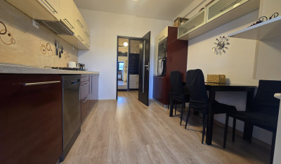 Apartament de vanzare 2 camere Popas Pacurari 161501