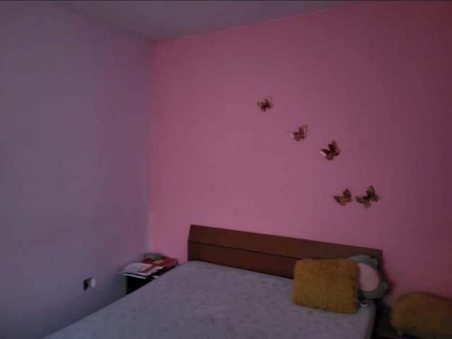 Apartament 2 camere - Alexandru cel Bun
