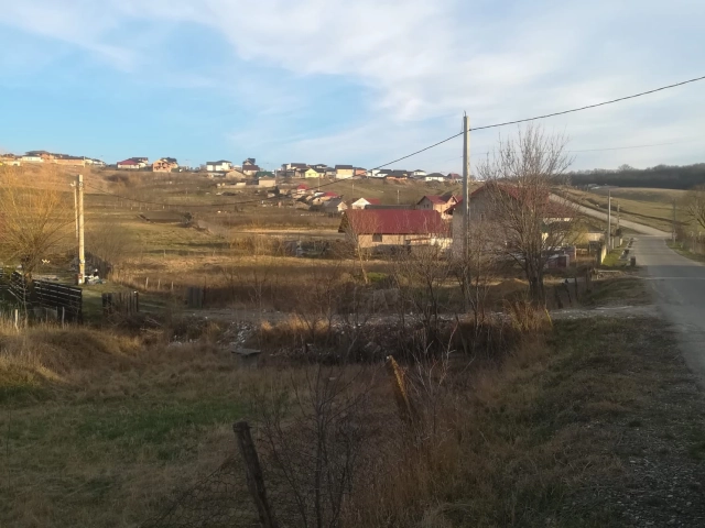 Apartament 0 camere - Miroslava