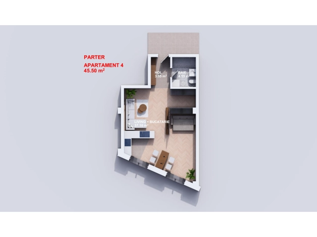 Apartament 1 camere - Bucium