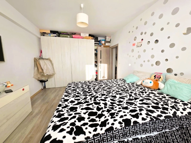 Apartament 3 camere - Podul de Fier