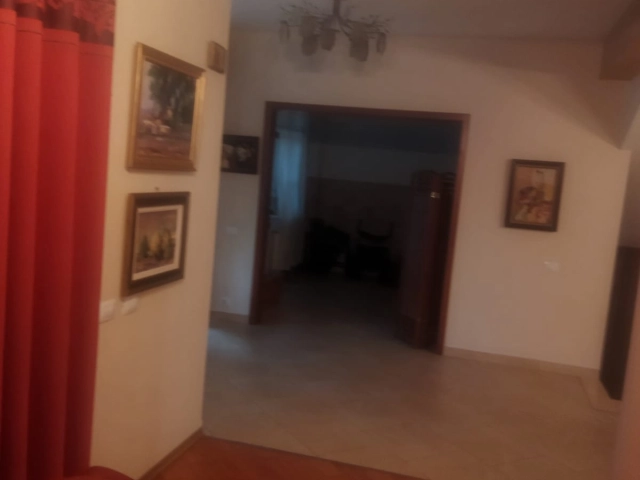 Apartament 9 camere - Bucium