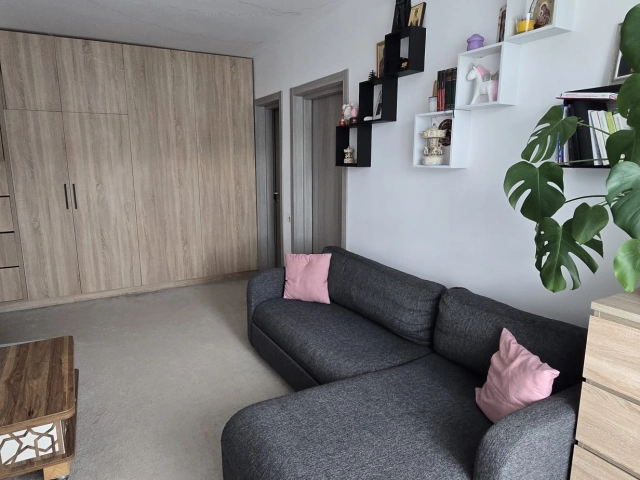 Apartament 3 camere - Visani