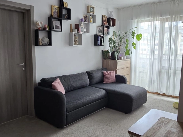 Apartament 3 camere - Visani