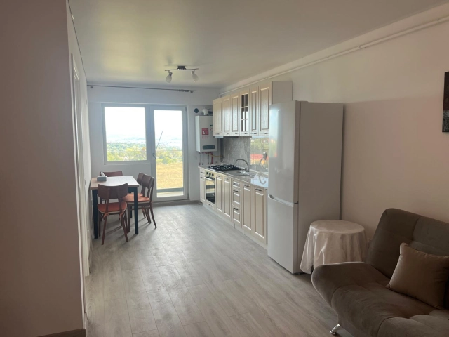 Apartament 2 camere - Copou