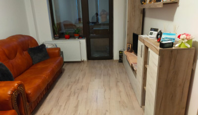 Apartament de vanzare 2 camere Bucium 161126