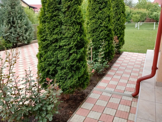 Apartament 5 camere - Valea Adanca