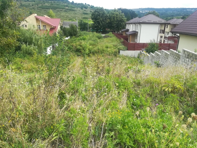 Apartament 0 camere - Barnova