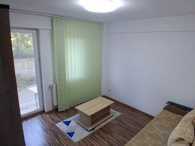Apartament 1 camere - Bucium