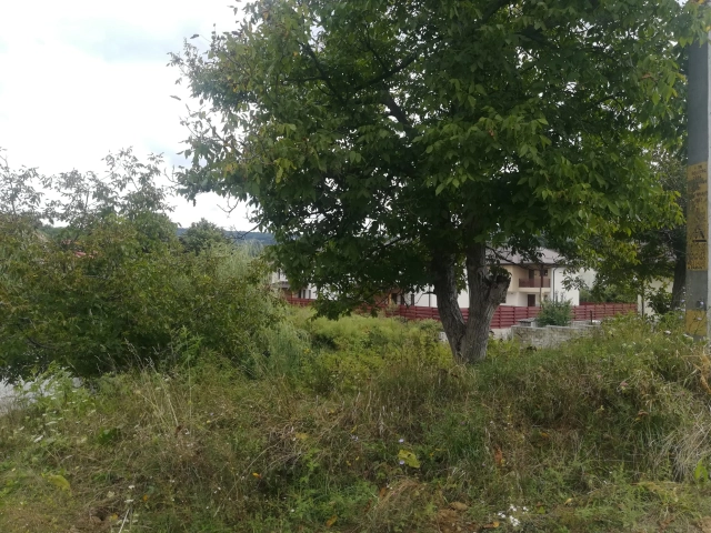 Apartament 0 camere - Barnova