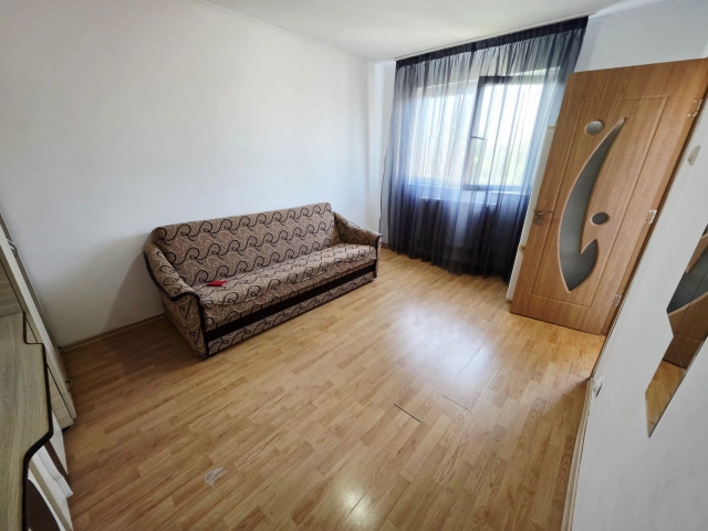 Apartament 1 camere - Alexandru cel Bun