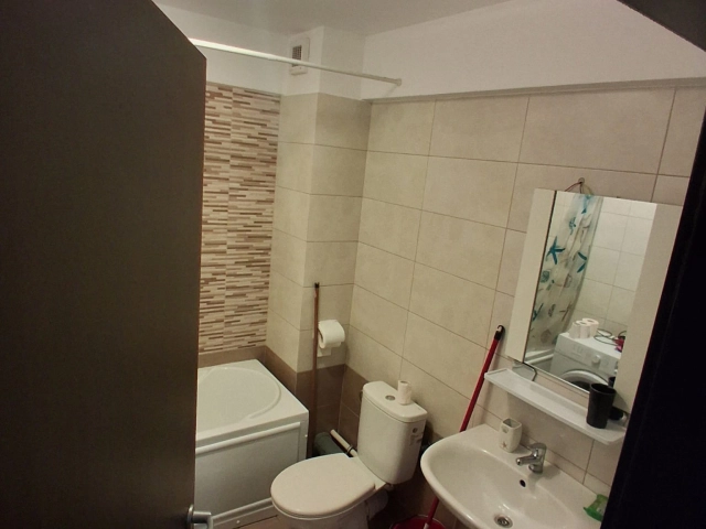 Apartament 1 camere - Bucium