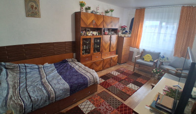 Apartament de vanzare 2 camere Canta 160448