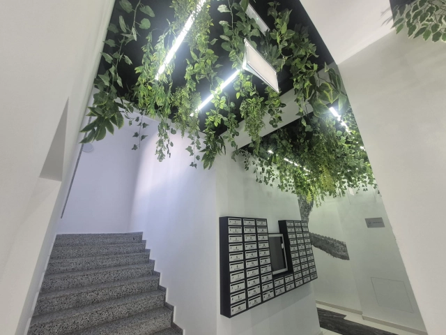 Apartament 3 camere - Nicolina
