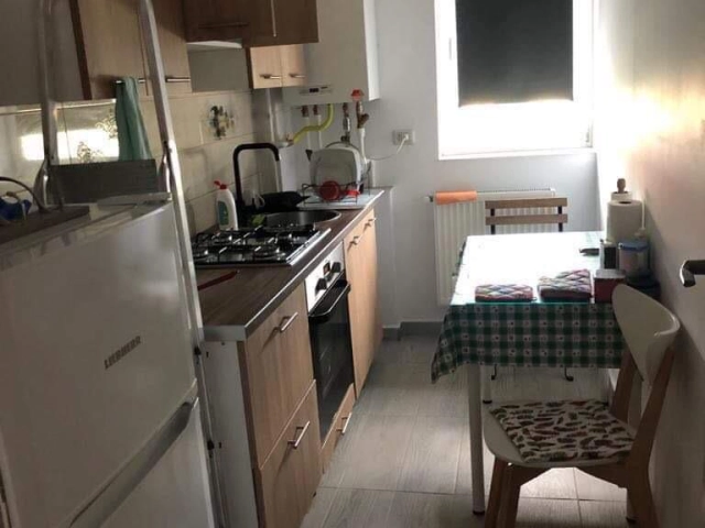 Apartament 1 camere - Bucium
