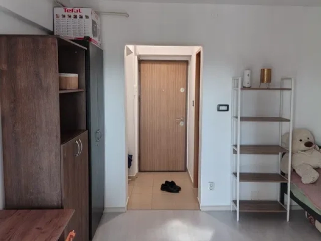 Apartament 1 camere - Central