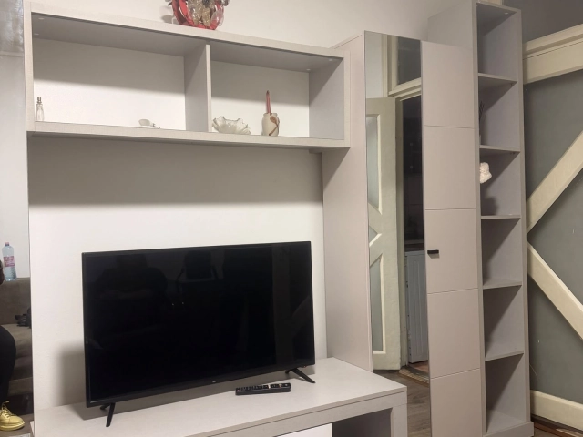 Apartament 1 camere - Alexandru cel Bun