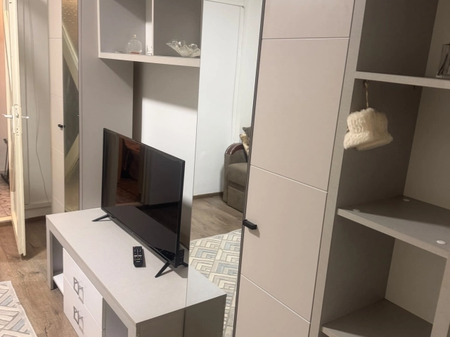 Apartament 1 camere - Alexandru cel Bun