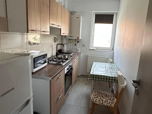 Apartament 1 camere - Bucium