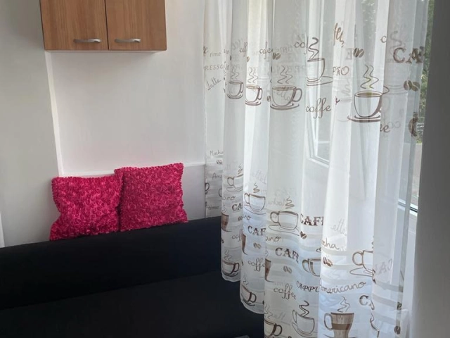 Apartament 1 camere - Alexandru cel Bun
