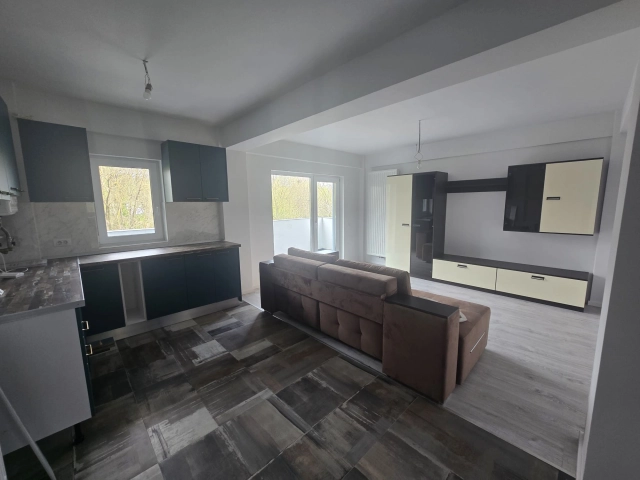 Apartament 1 camere - Bucium