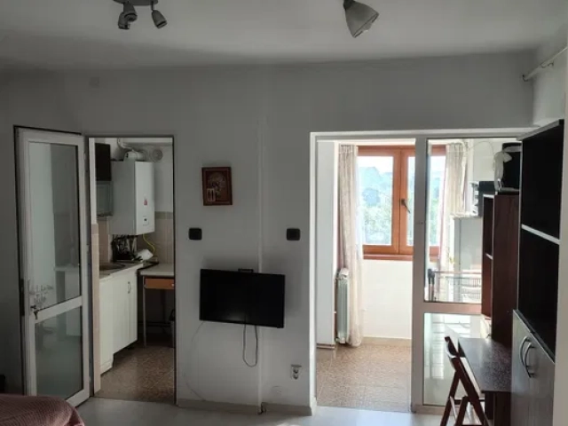 Apartament 1 camere - Central