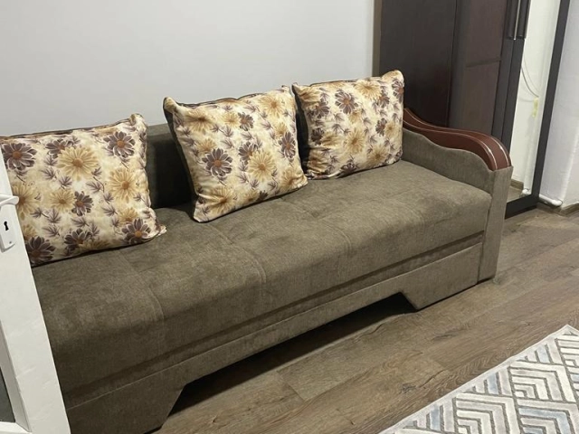 Apartament 1 camere - Alexandru cel Bun