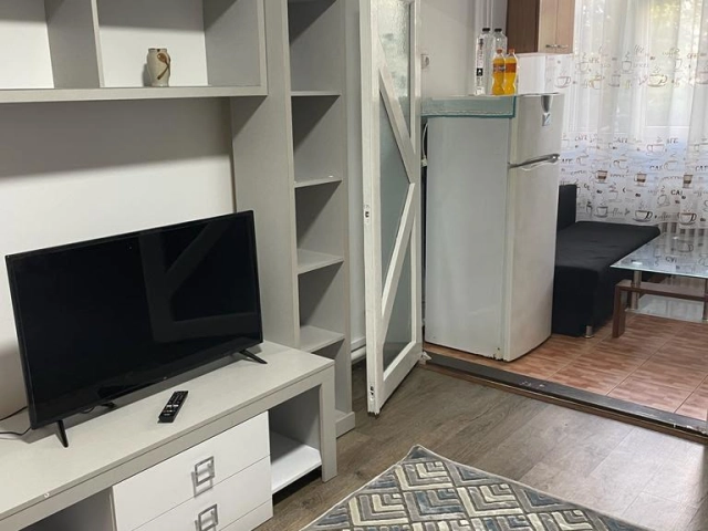 Apartament 1 camere - Alexandru cel Bun