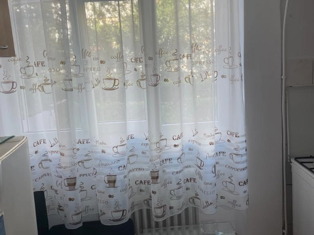 Apartament 1 camere - Alexandru cel Bun