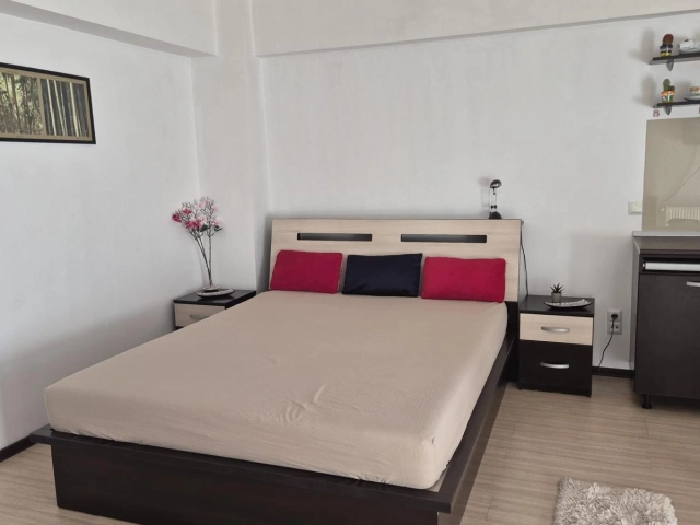Apartament 1 camere - Centru