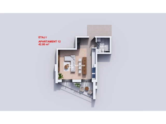 Apartament 1 camere - Bucium