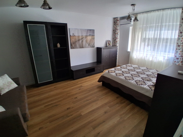 Apartament 1 camere - Pacurari