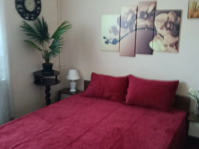 Apartament 2 camere - Podu Ros