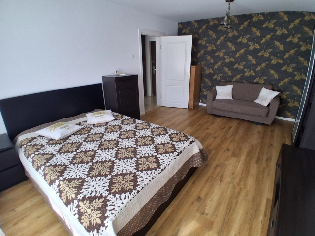 Apartament 1 camere - Pacurari