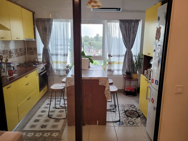 Apartament 3 camere - Pacurari