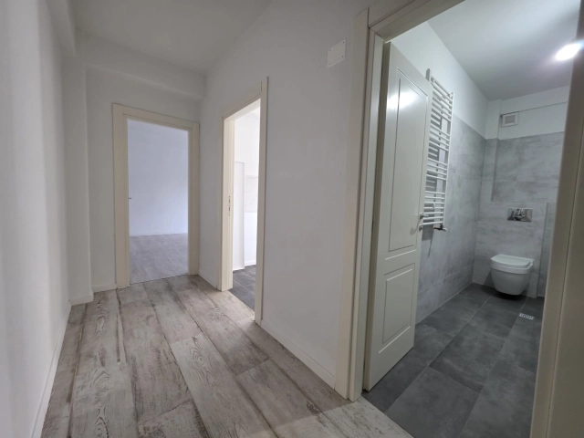 Apartament 1 camere - Bucium