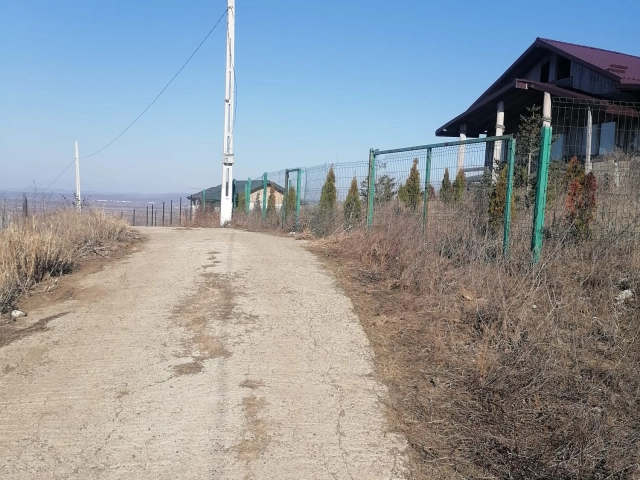 Apartament 0 camere - Tomesti