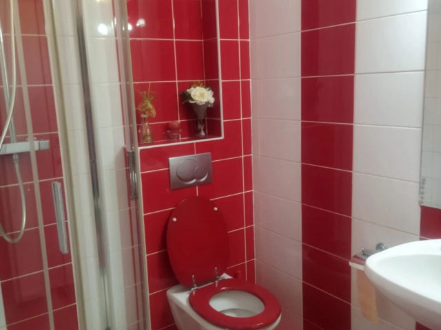 Apartament 5 camere - Tatarasi