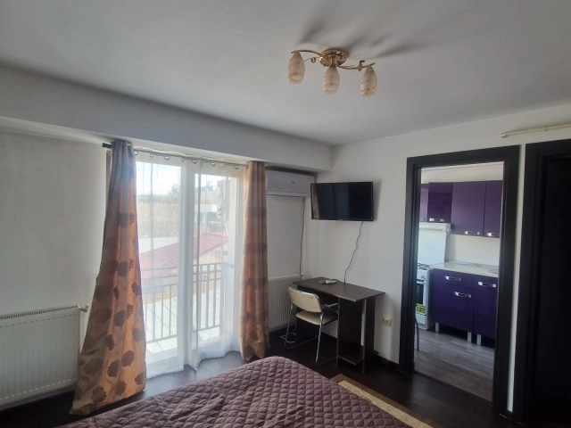 Apartament 1 camere - Central