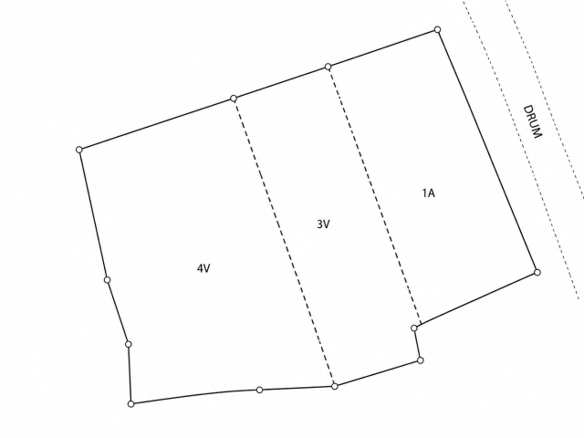 Apartament 0 camere - Bucium