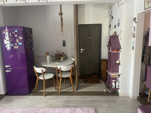 Apartament 2 camere - Bucium