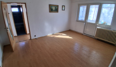 Apartament de vanzare, 2 camere Pacurari 161727