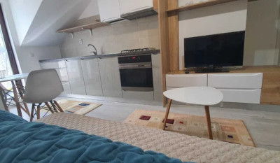 Apartament de vanzare 2 camere Centru Civic 161101