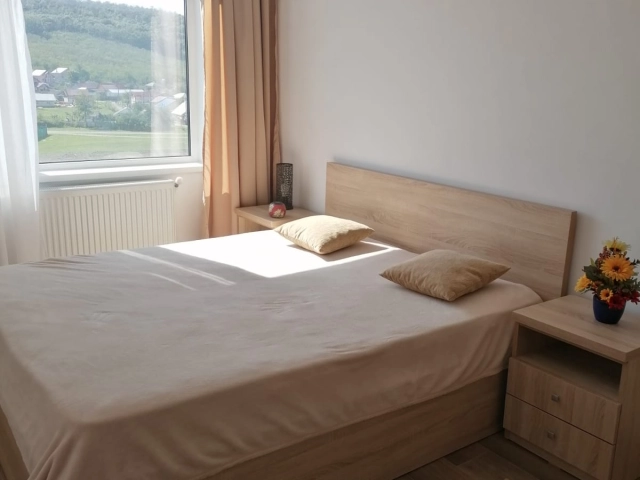 Apartament 2 camere - Alexandru cel Bun