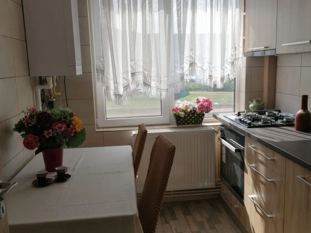 Apartament 2 camere - Alexandru cel Bun