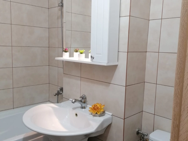 Apartament 2 camere - Alexandru cel Bun