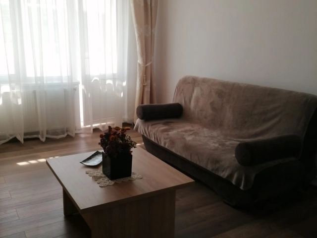 Apartament 2 camere - Alexandru cel Bun