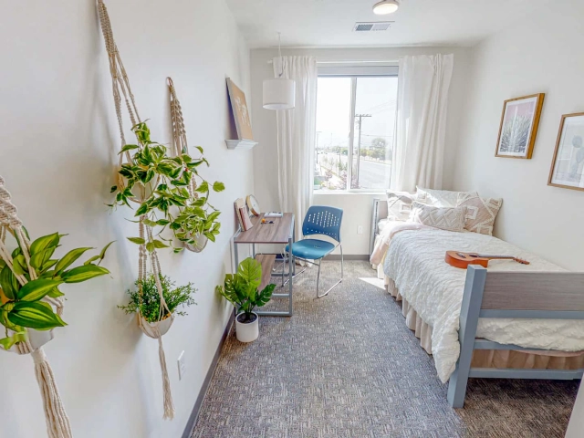 Apartament 2 camere - Canta