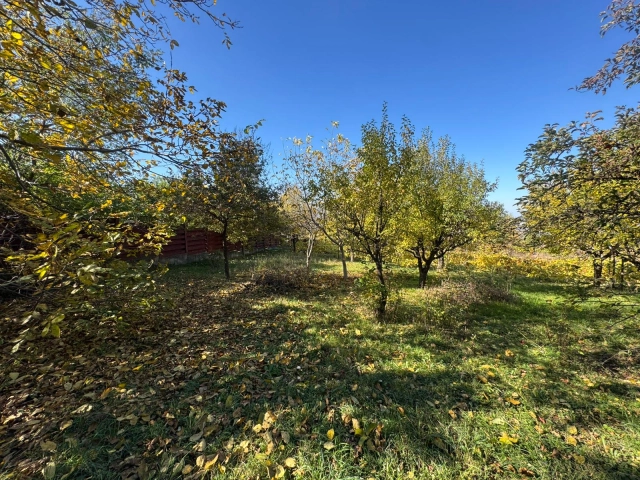 Apartament 3 camere - Bucium